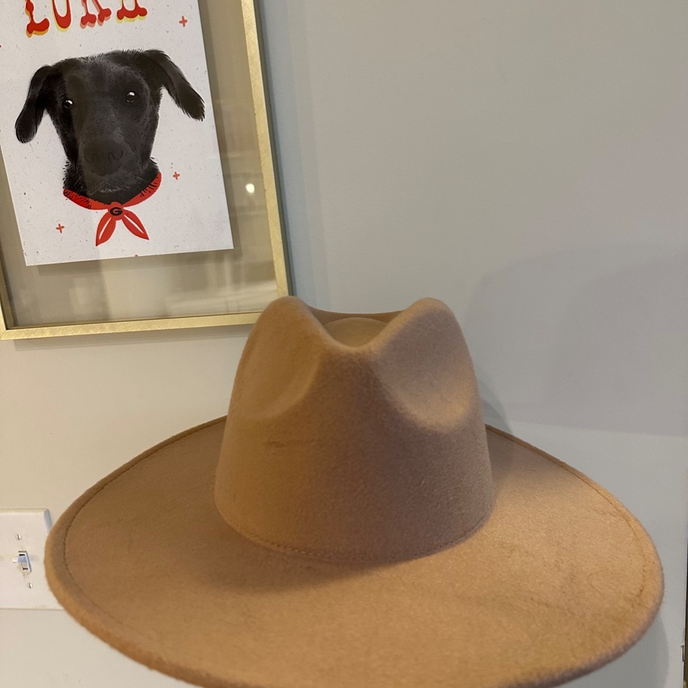 Wide Brim Felt Fedora Hat